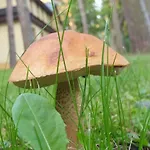 Toskana Pogorzelica (Gmina Rewal)