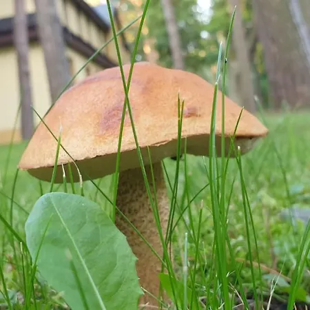 Toskana Pogorzelica (Gmina Rewal)